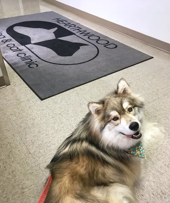 Hearthwood Veterinary Hospital Picture 10