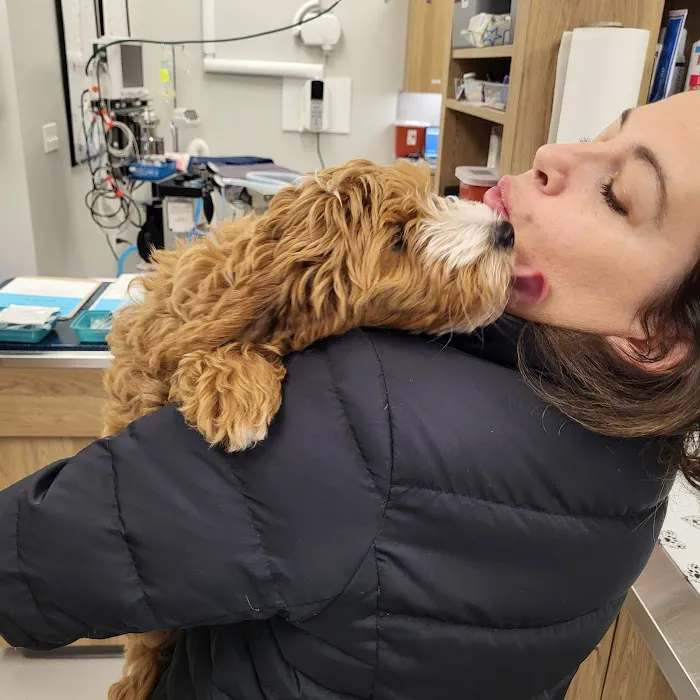 Horizon Veterinary Care Picture 3