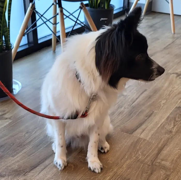 Horizon Veterinary Care Picture 1