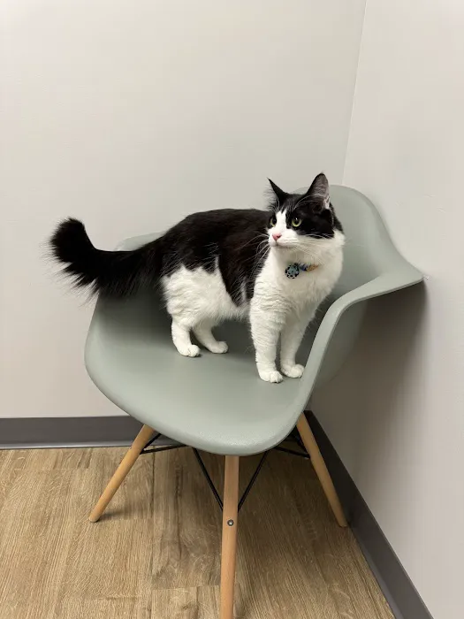 Horizon Veterinary Care Picture 5