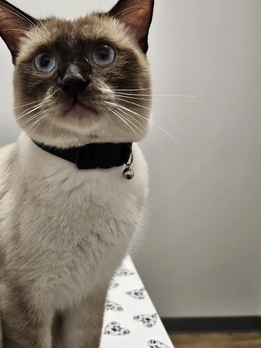 Horizon Veterinary Care Picture 8
