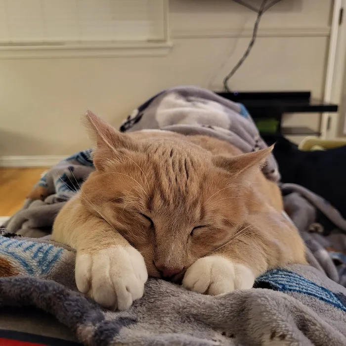 Horizon Veterinary Care Picture 10