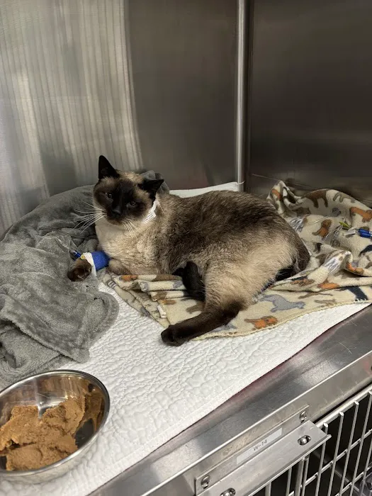 Pacific Northwest Pet ER & Specialty Center Picture 9