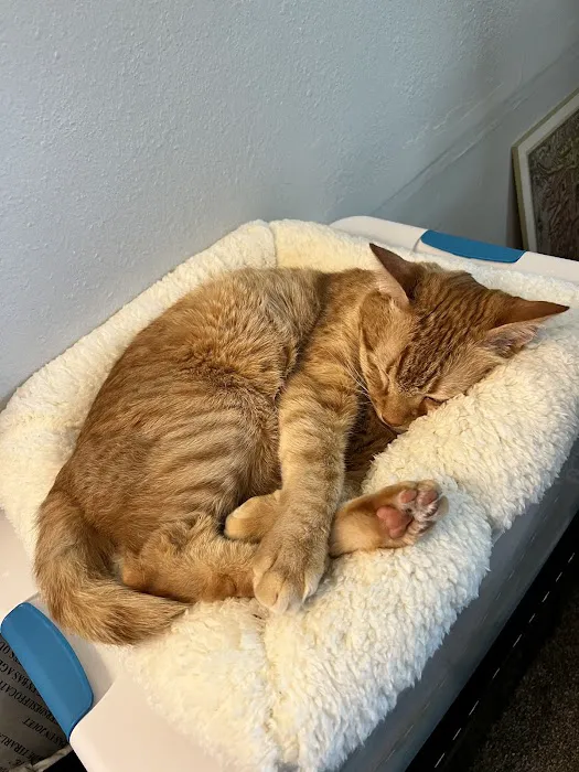 Pacific Northwest Pet ER & Specialty Center Picture 10