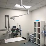 WellHaven Pet Health Mill Plain