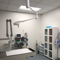 WellHaven Pet Health Mill Plain ico