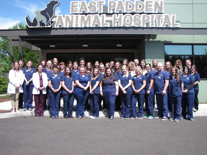 East Padden Animal Hospital Picture 3