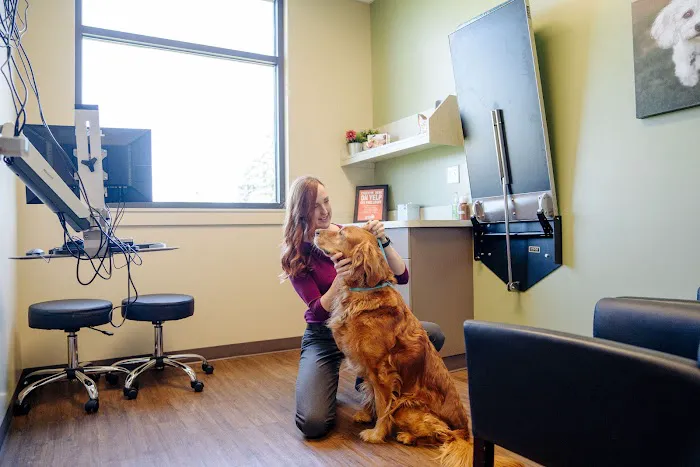 East Padden Animal Hospital Picture 6