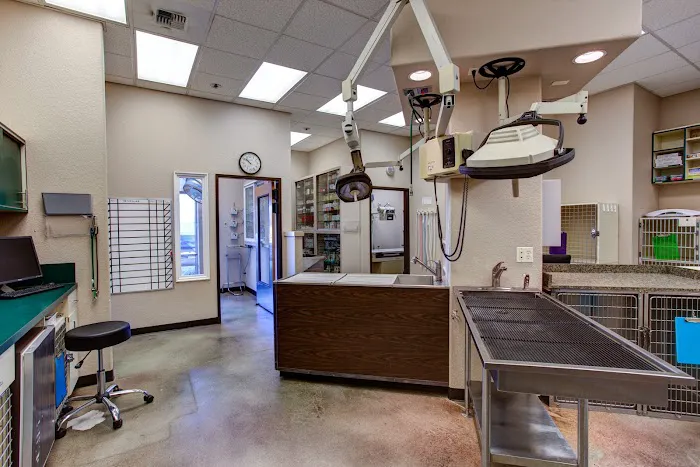 East Padden Animal Hospital Picture 1