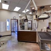 East Padden Animal Hospital ico