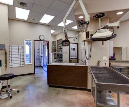 East Padden Animal Hospital