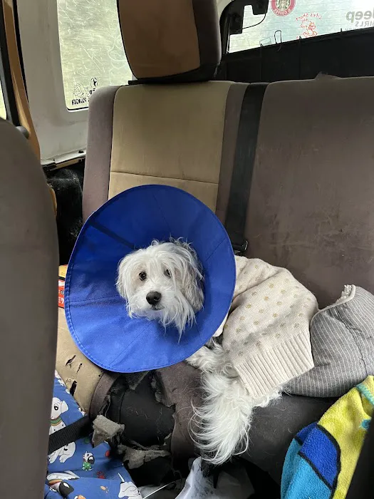 East Padden Animal Hospital Picture 10