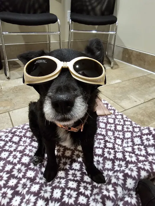 Claus Paws Animal Hospital Picture 3