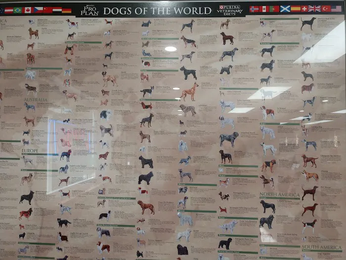 Claus Paws Animal Hospital Picture 8