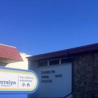 Cherrelyn Animal Hospital ico