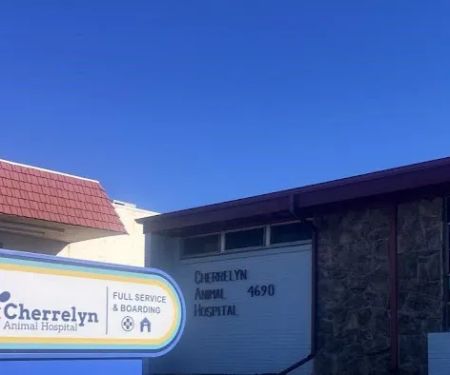 Cherrelyn Animal Hospital