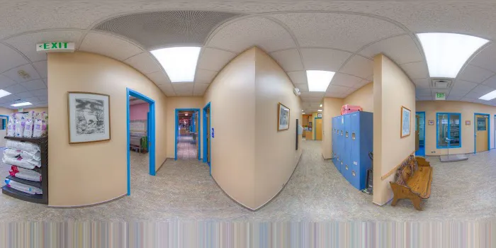 Kipling Veterinary Hospital and Wellness Center Picture 2