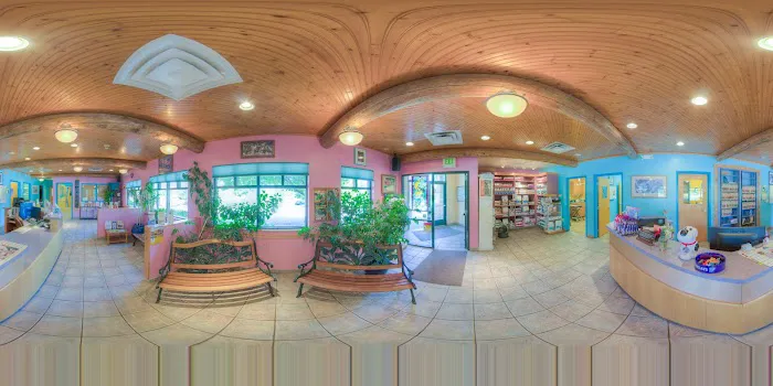 Kipling Veterinary Hospital and Wellness Center Picture 5