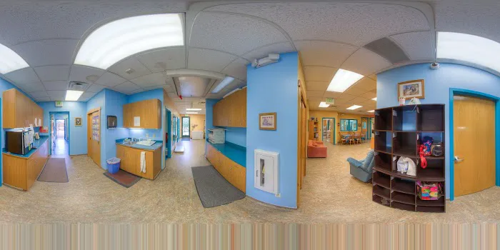 Kipling Veterinary Hospital and Wellness Center Picture 4