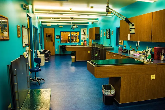 Kipling Veterinary Hospital and Wellness Center Picture 3