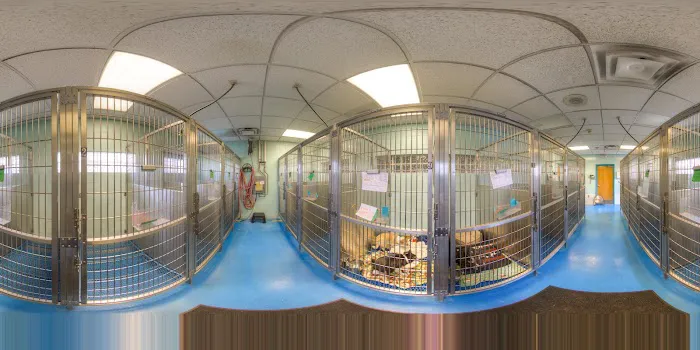 Kipling Veterinary Hospital and Wellness Center Picture 8