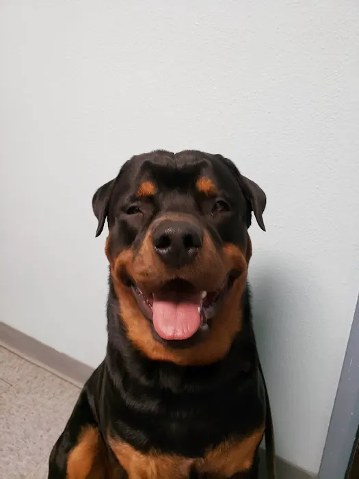 Barnes Veterinary Services Picture 1