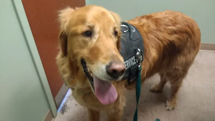VCA Littleton Animal Hospital Picture 4