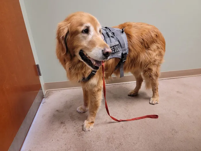 VCA Littleton Animal Hospital Picture 6