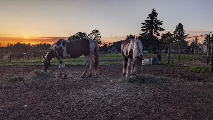 Equus Veterinary Service Picture 4