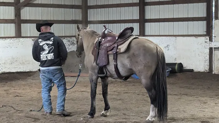 Equus Veterinary Service Picture 9