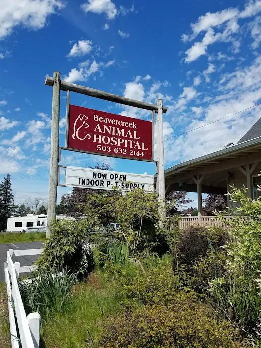 Beavercreek Animal Clinic Picture 4