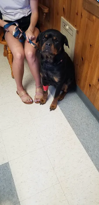 Beavercreek Animal Clinic Picture 8
