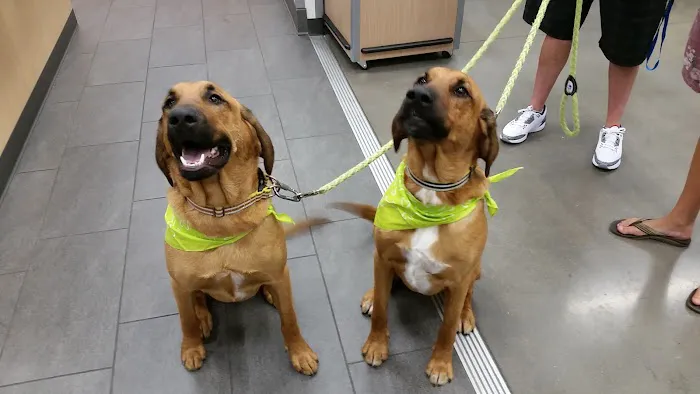 Banfield Pet Hospital Picture 2