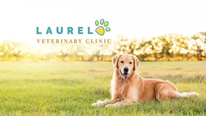 Laurel Veterinary Clinic Picture 2