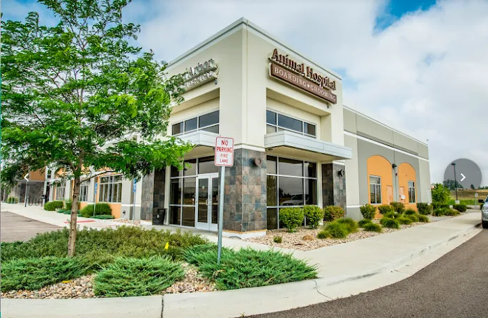 Aspen Arbor Animal Hospital Picture 2