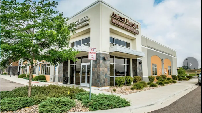 Aspen Arbor Animal Hospital Picture 3