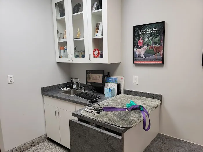 Aspen Arbor Animal Hospital Picture 8