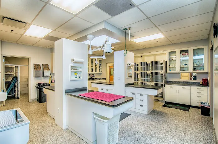 Aspen Arbor Animal Hospital Picture 4