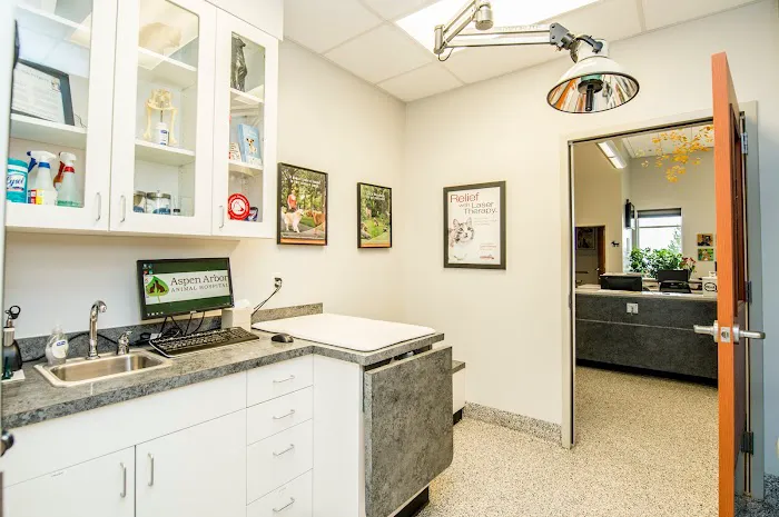 Aspen Arbor Animal Hospital Picture 7