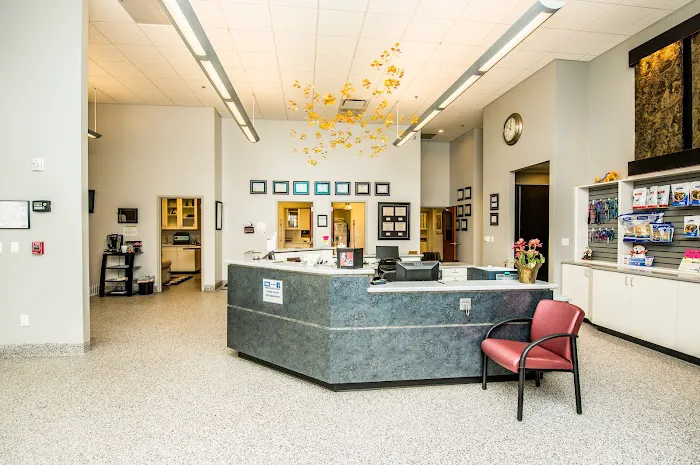 Aspen Arbor Animal Hospital Picture 5
