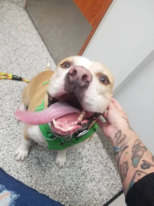 Aspen Arbor Animal Hospital Picture 10
