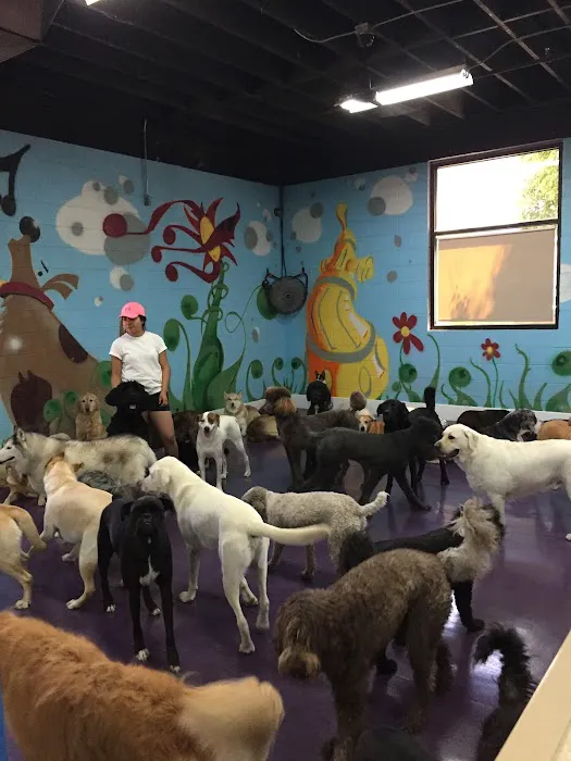 Well Animal Institute Picture 10