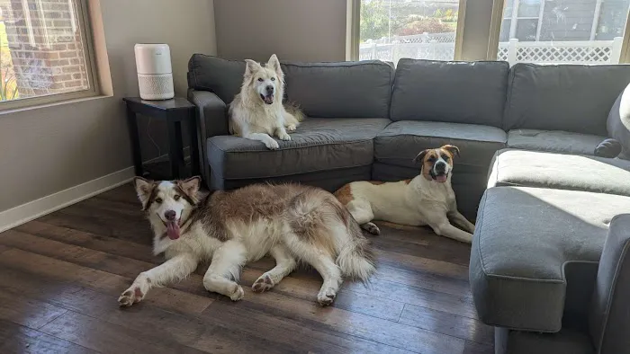 Broomfield Meadows Animal Hospital Picture 5