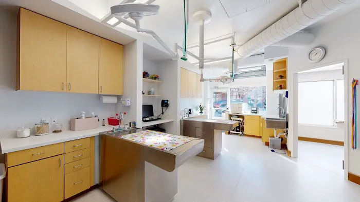 Five Parks Animal Hospital Picture 3