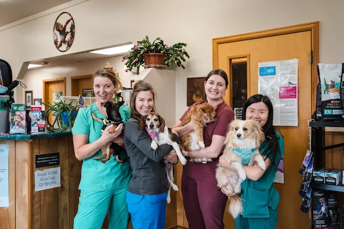 Foothills Animal Hospital Picture 1