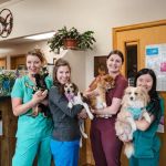 Foothills Animal Hospital