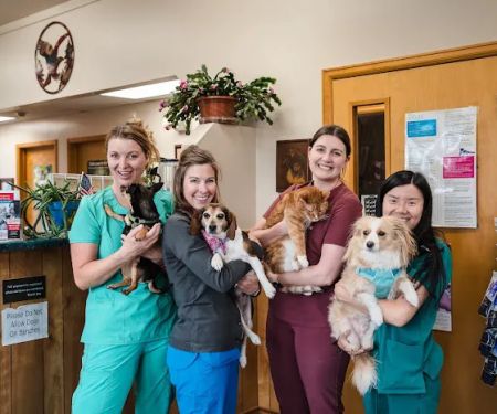 Foothills Animal Hospital