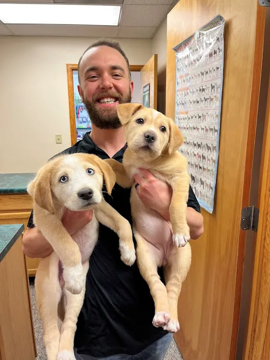 Foothills Animal Hospital Picture 3