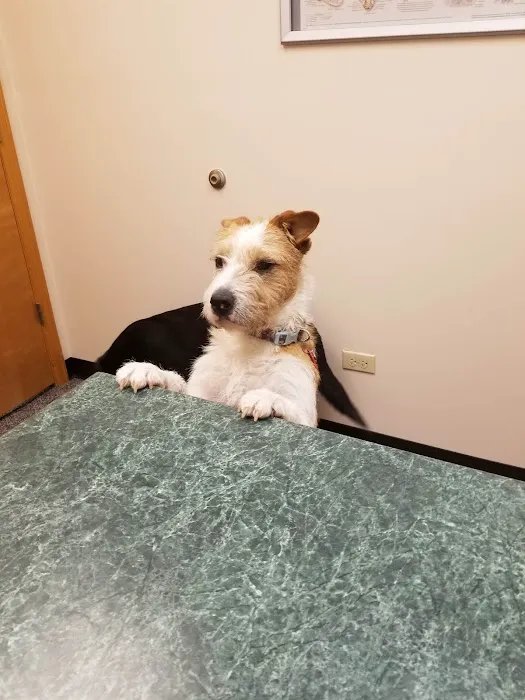 Foothills Animal Hospital Picture 8