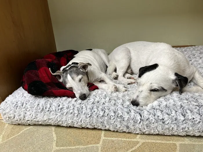 Arvada Flats Veterinary Hospital Picture 4